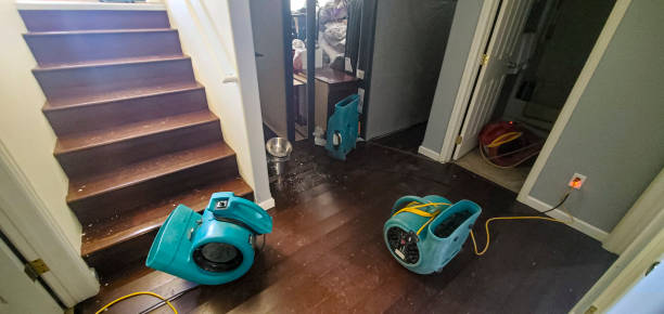 Best Water damage restoration specialists  in Montalvin Manor, CA