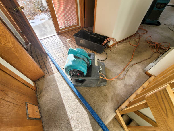 Best Flooded house restoration  in Montalvin Manor, CA