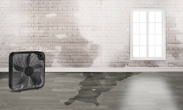  Montalvin Manor, CA Water damage restoration Pros
