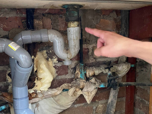 Best Water damage restoration services  in Montalvin Manor, CA