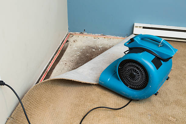 Best 24/7 water damage repair  in Montalvin Manor, CA